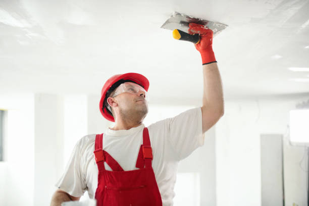 Mountain Top, PA Mold Removal Company